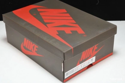 Hyperoad AIR DARK 1 MOCHA LOW JORDAN TRAVIS SCOTT 1017